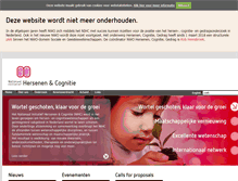 Tablet Screenshot of hersenenencognitie.nl